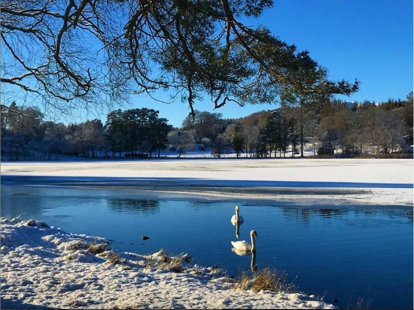 Loch Monzievaird 3* Crieff